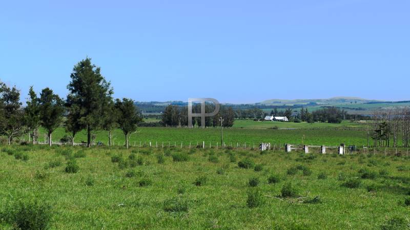 views of the farm
