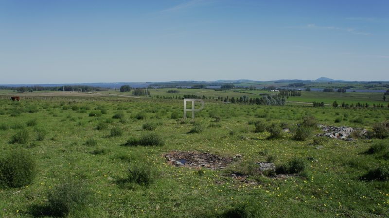 views of the farm (photo 2)