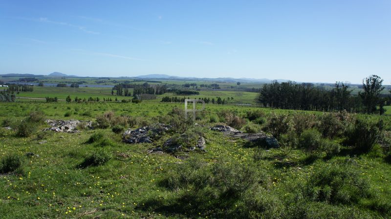 views of the farm (photo 4)