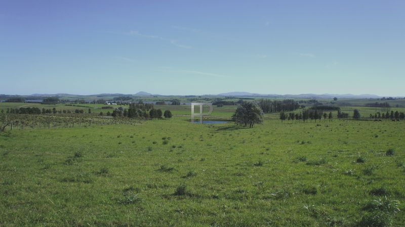 views of the farm (photo 5)