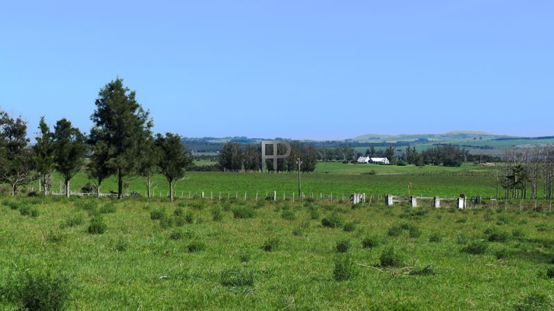 views of the farm