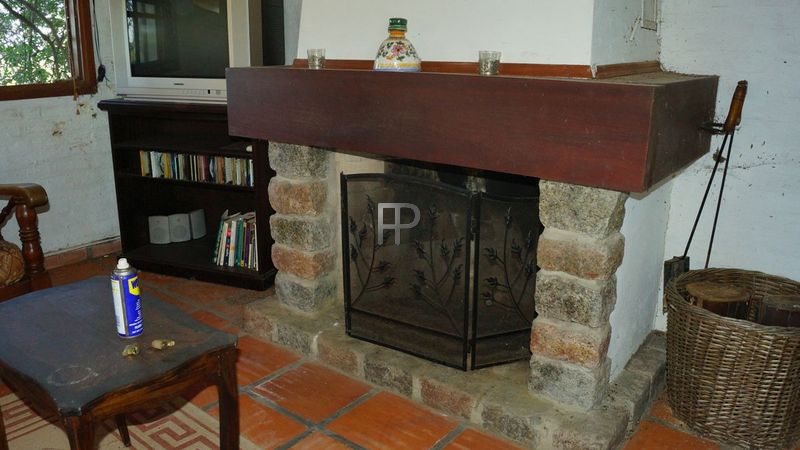 with fireplace